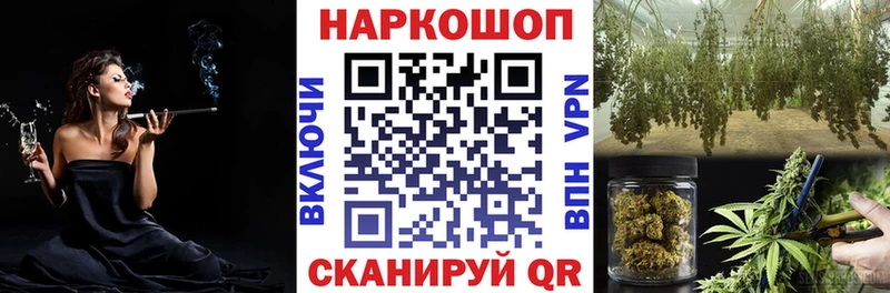 Где найти наркотики Александров ГАШ Галлюциногенные грибы МЕФ