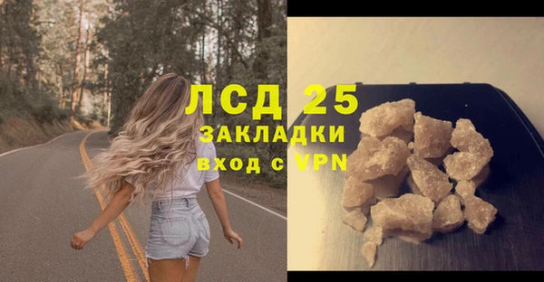 ешки Алексин