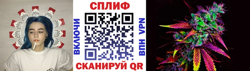 Бошки Шишки ГИДРОПОН  Александров 